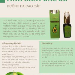 dầu bơ